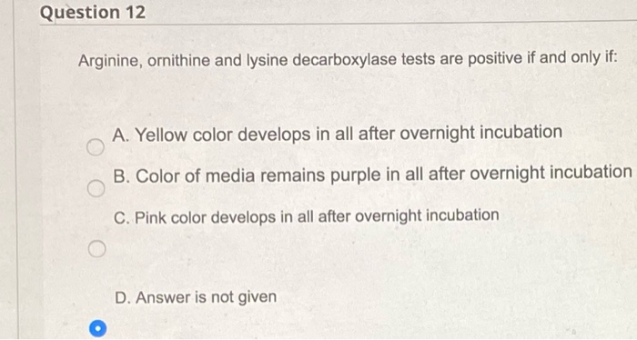 4. the answer is incorrect. 5. the answer is