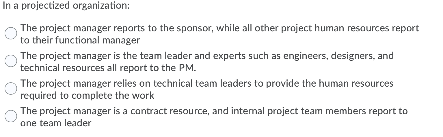 In a projectized organization: The project