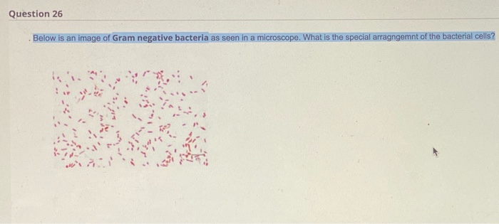 26. the answer is incorrect. 29. the answer is
