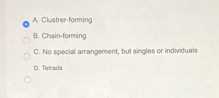 26. the answer is incorrect. 29. the answer is
