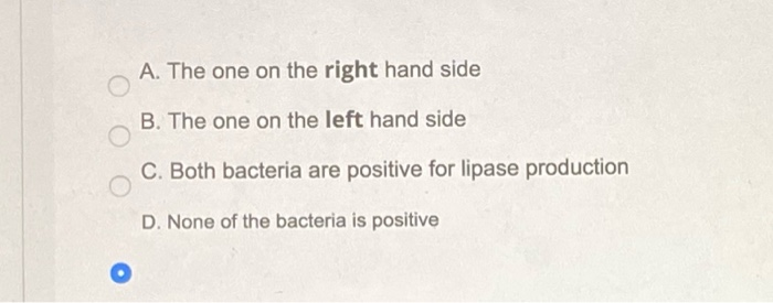 26. the answer is incorrect. 29. the answer is