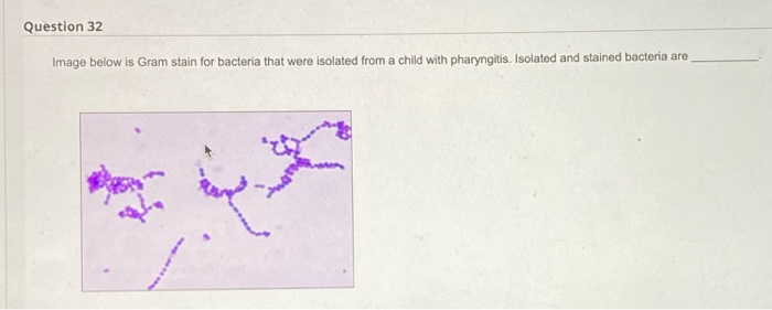 26. the answer is incorrect. 29. the answer is