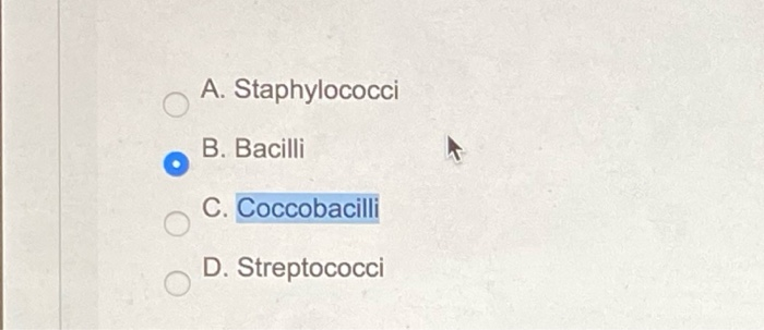 26. the answer is incorrect. 29. the answer is