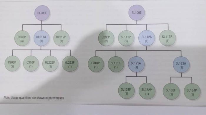 CASE STUDY 2: Flashy Flashers, Inc. (30 marks)