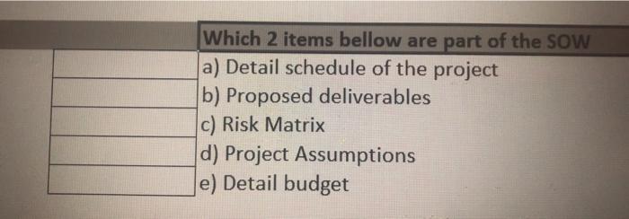 Which 2 items bellow are part of the SOW a)