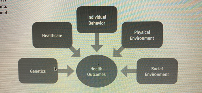 1.Based on what you learned in this chapter,
