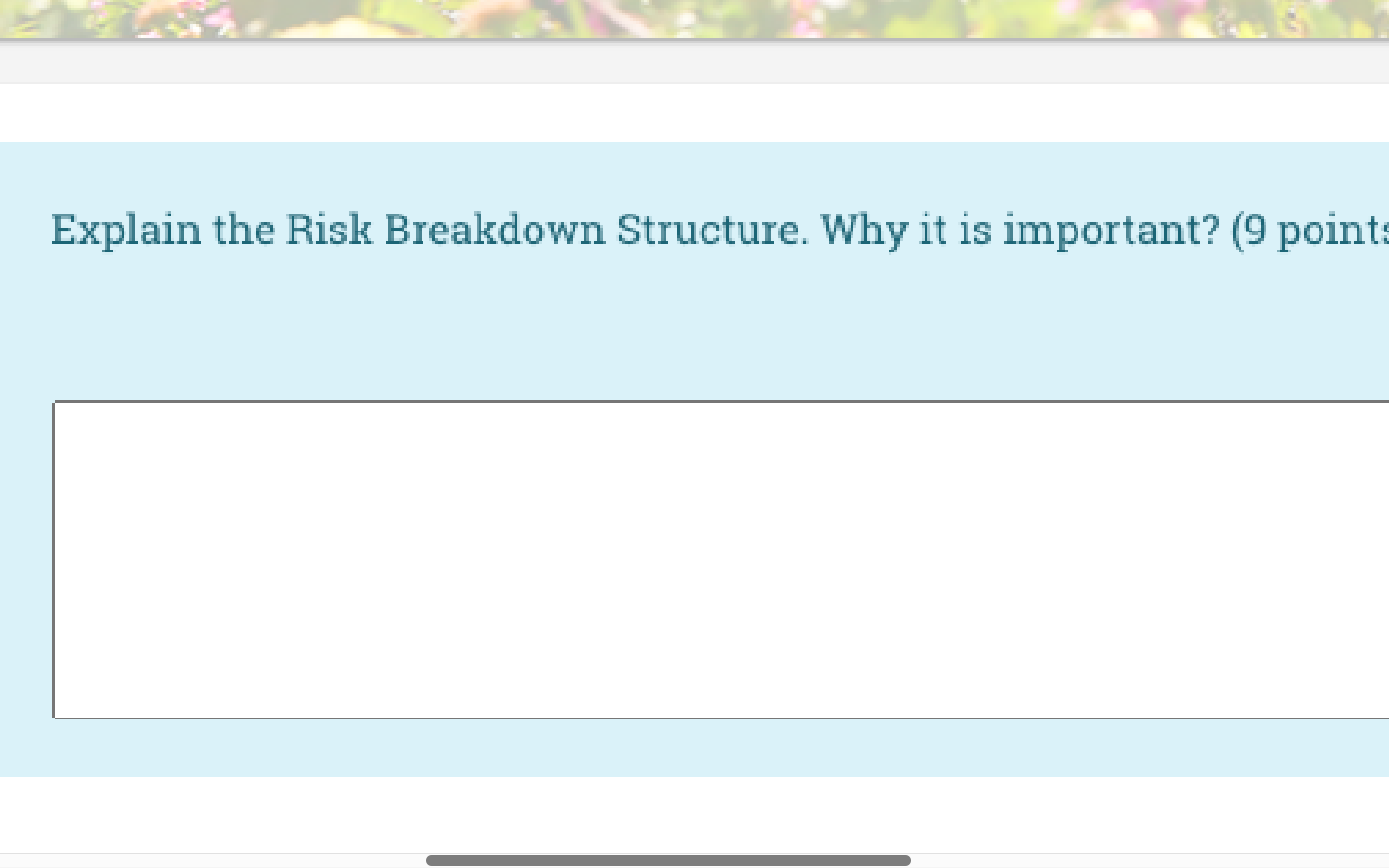 Explain the Risk Breakdown Structure. Why it is