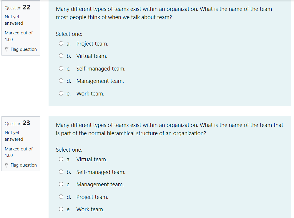 Many different types of teams exist within an