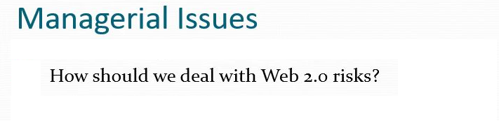 How should we deal with Web 2.o risks