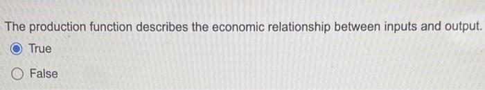 The production function describes the economic