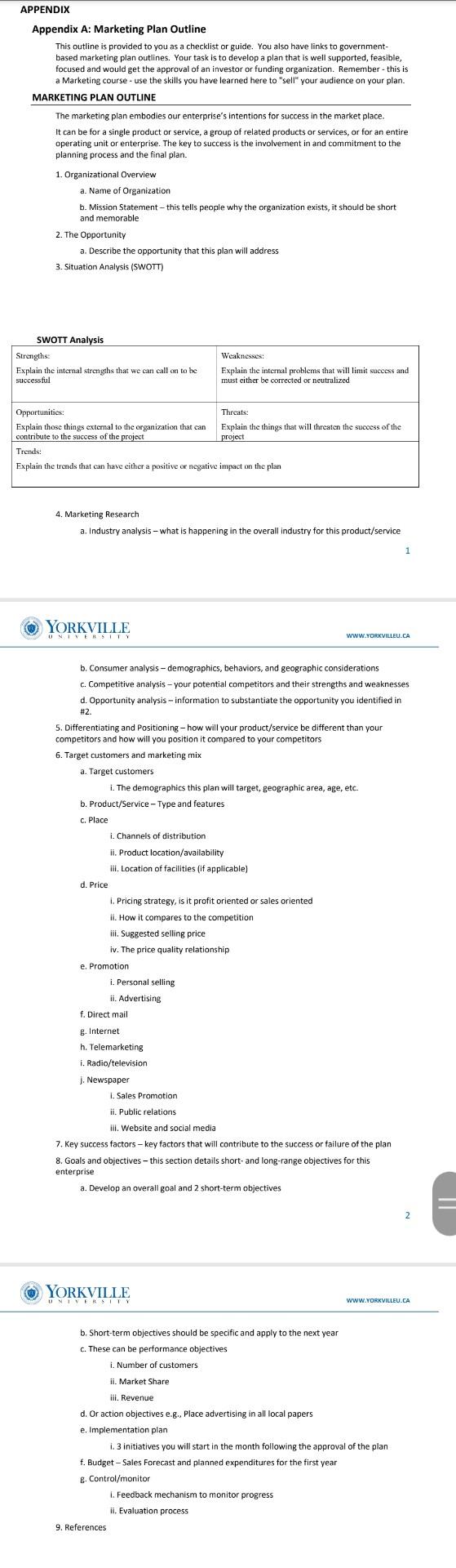 APPENDIX Appendix A: Marketing Plan Outline This