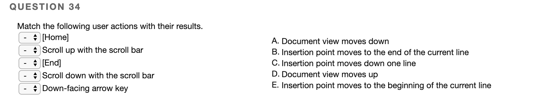 QUESTION 11 When Sandro imported his Excel data