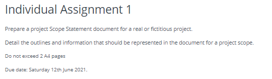 Individual Assignment 1 Prepare a project Scope