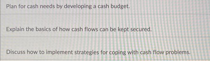 Plan for cash needs by developing a cash budget.