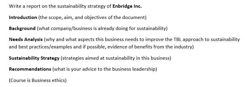 Write a report on the sustainability strategy of