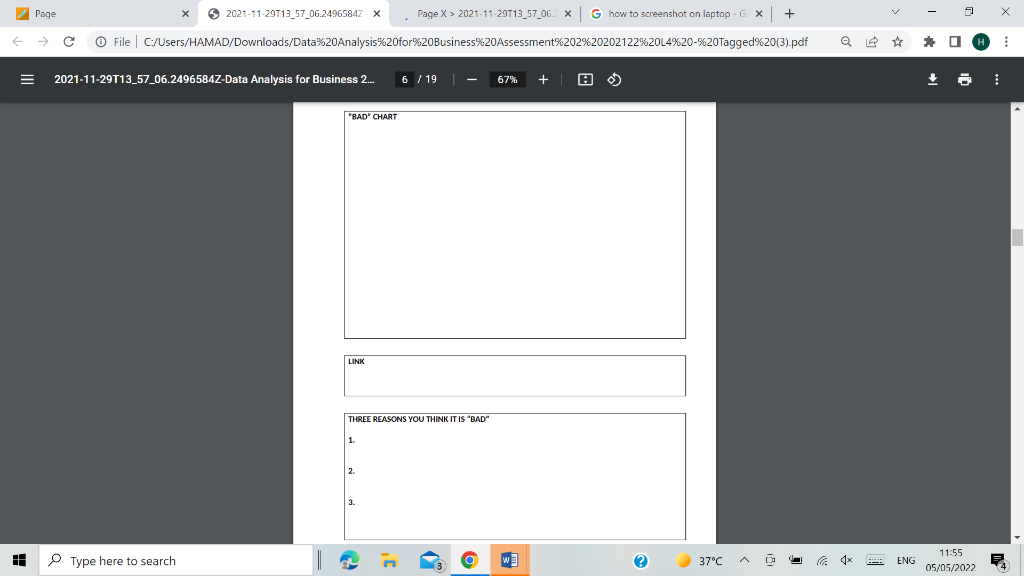 my whole assignment brief Page X