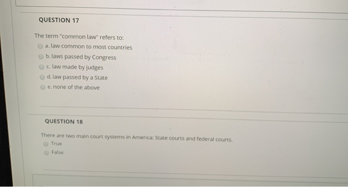 QUESTION 17 The term 