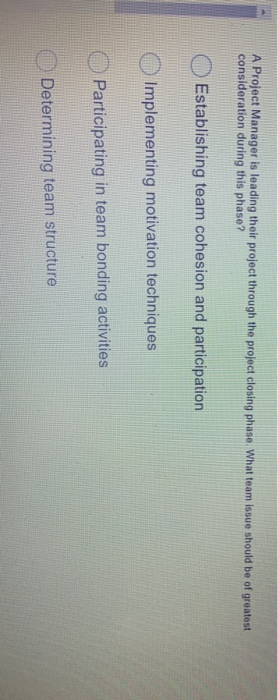 A Project Manager is leading their project