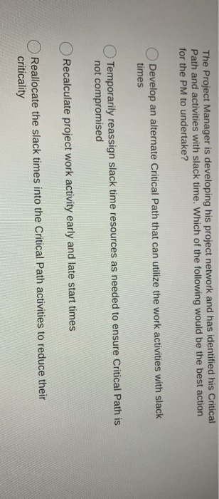 The Project Manager is developing his project