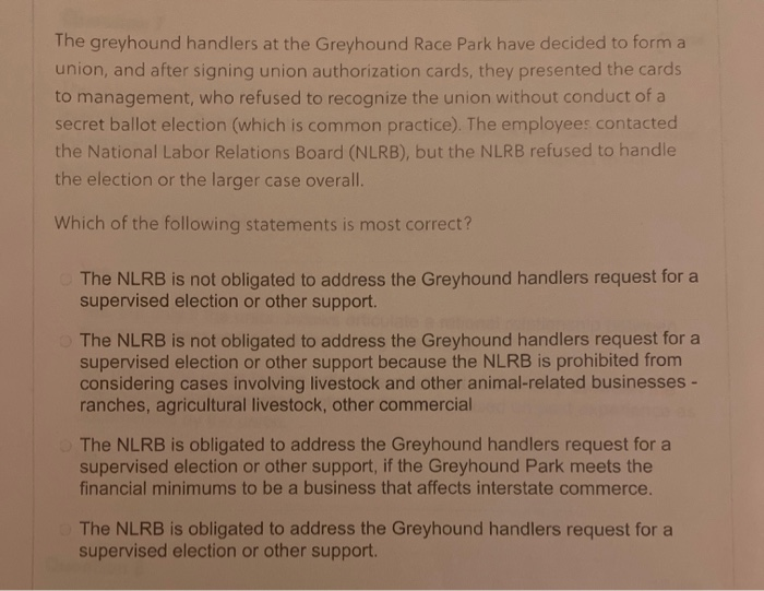 The greyhound handlers at the Greyhound Race Park