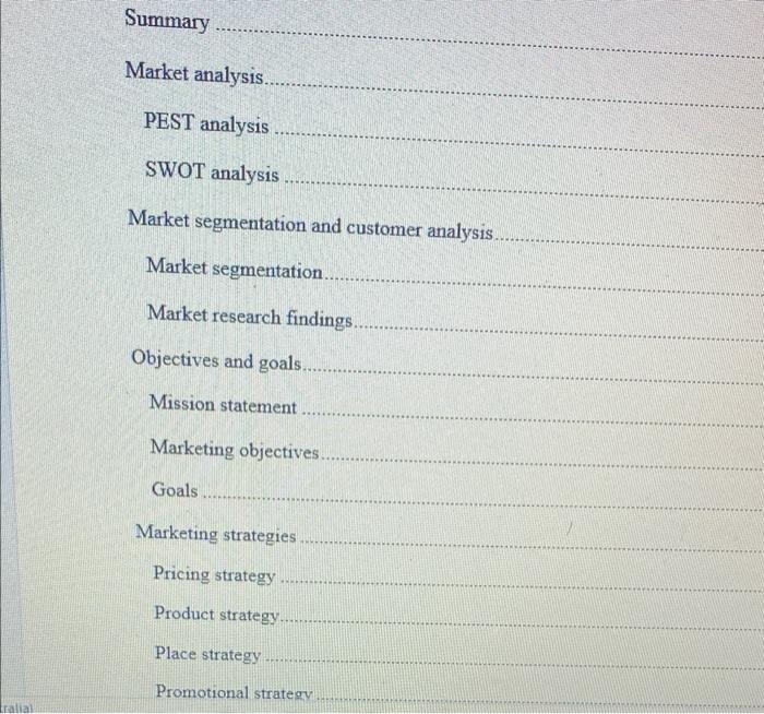 Please i want a marketing plan for a new product