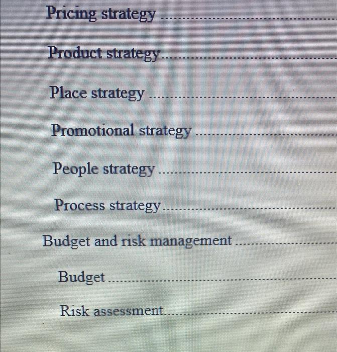 Please i want a marketing plan for a new product