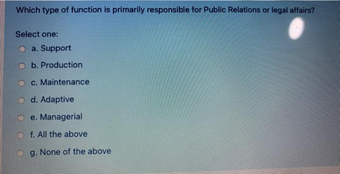 Which type of function is primarily responsible