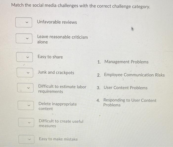 Match the social media challenges with the