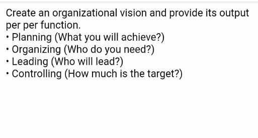 Create an organizational vision and provide its