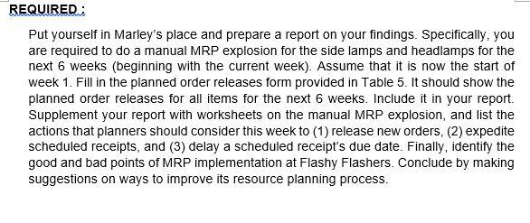 QUESTION 3.:Flashy, Flashers, Inc. (30 marks)