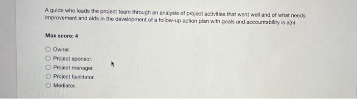 A guide who leads the project team through an