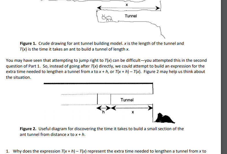 Lets continue working on the ant tunnel-building