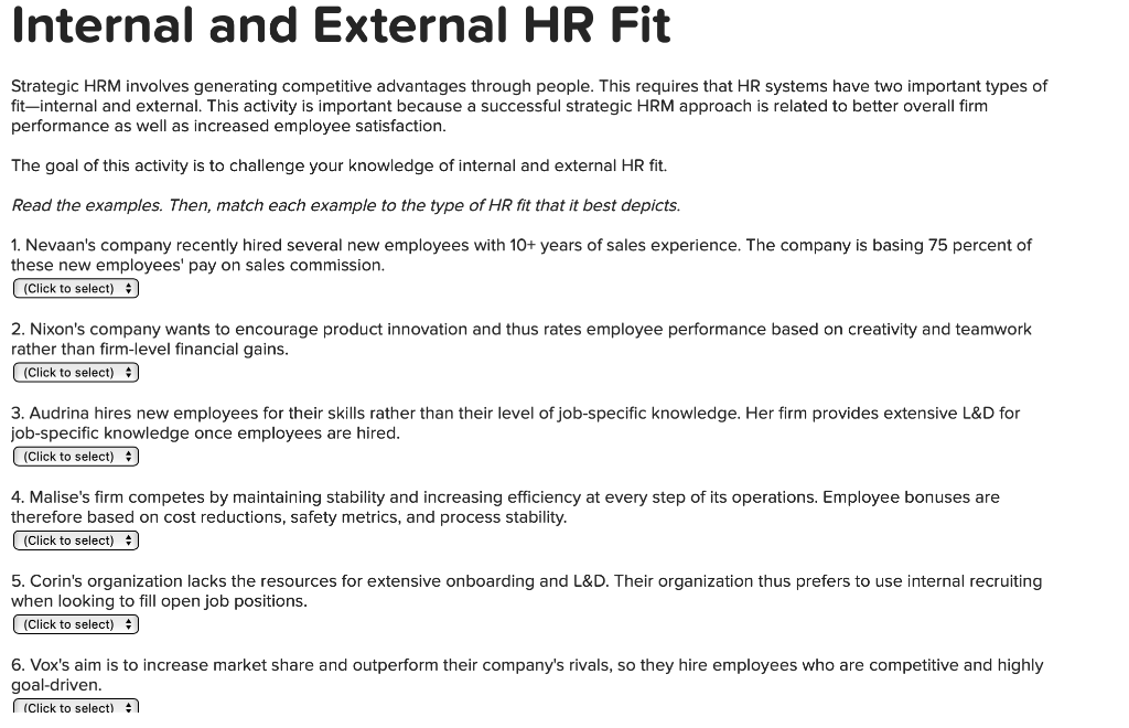 Internal and External HR Fit Strategic HRM