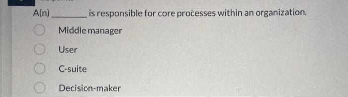 A(n) is responsible for core processes within an
