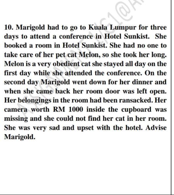 @ 20 10. Marigold had to go to Kuala Lumpur for