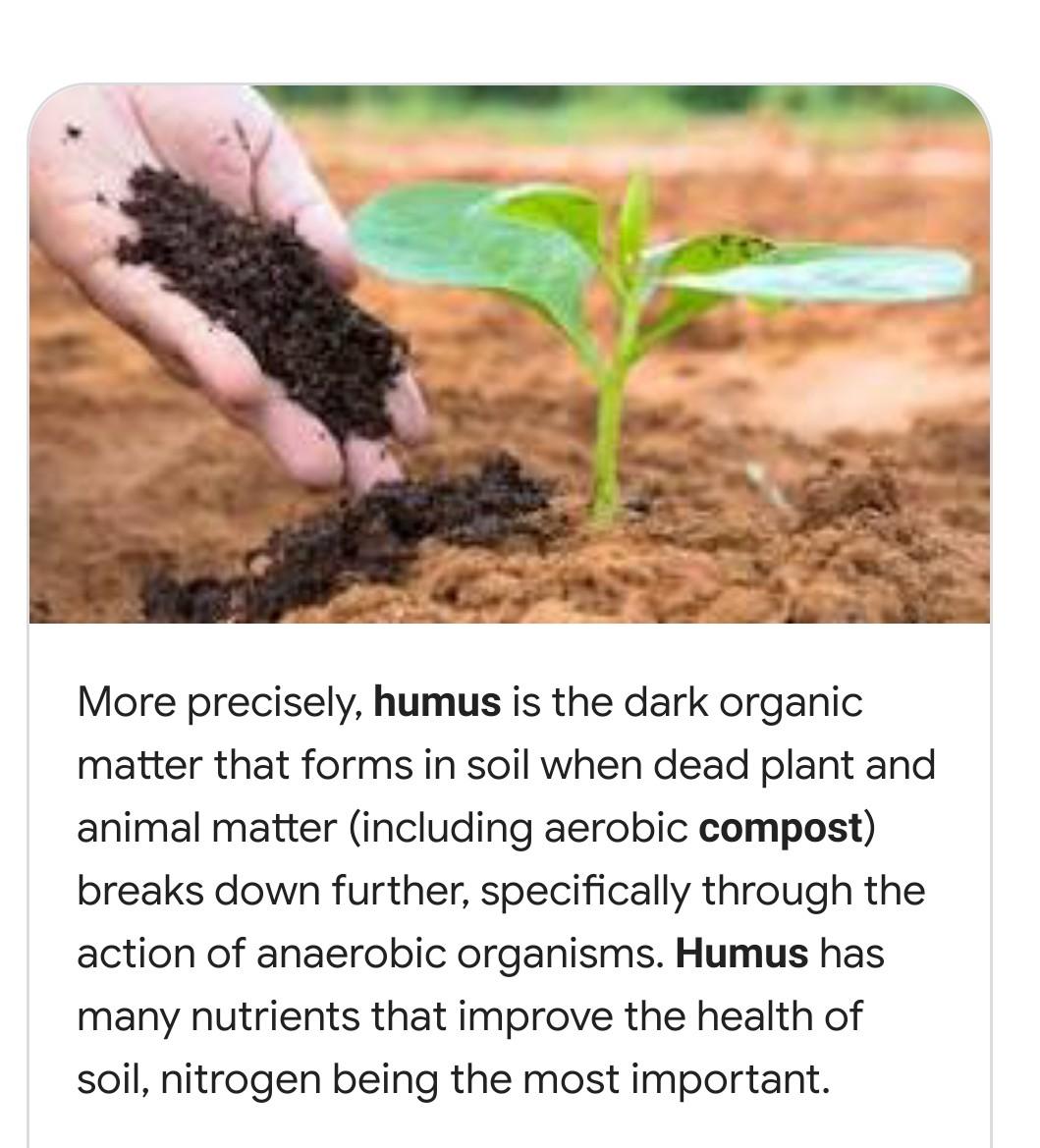 this is a sample output their topic is sadaco