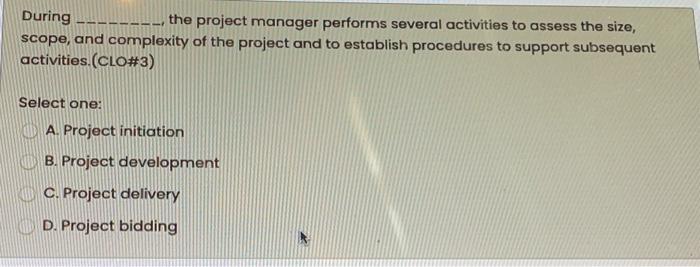 During the project manager performs several