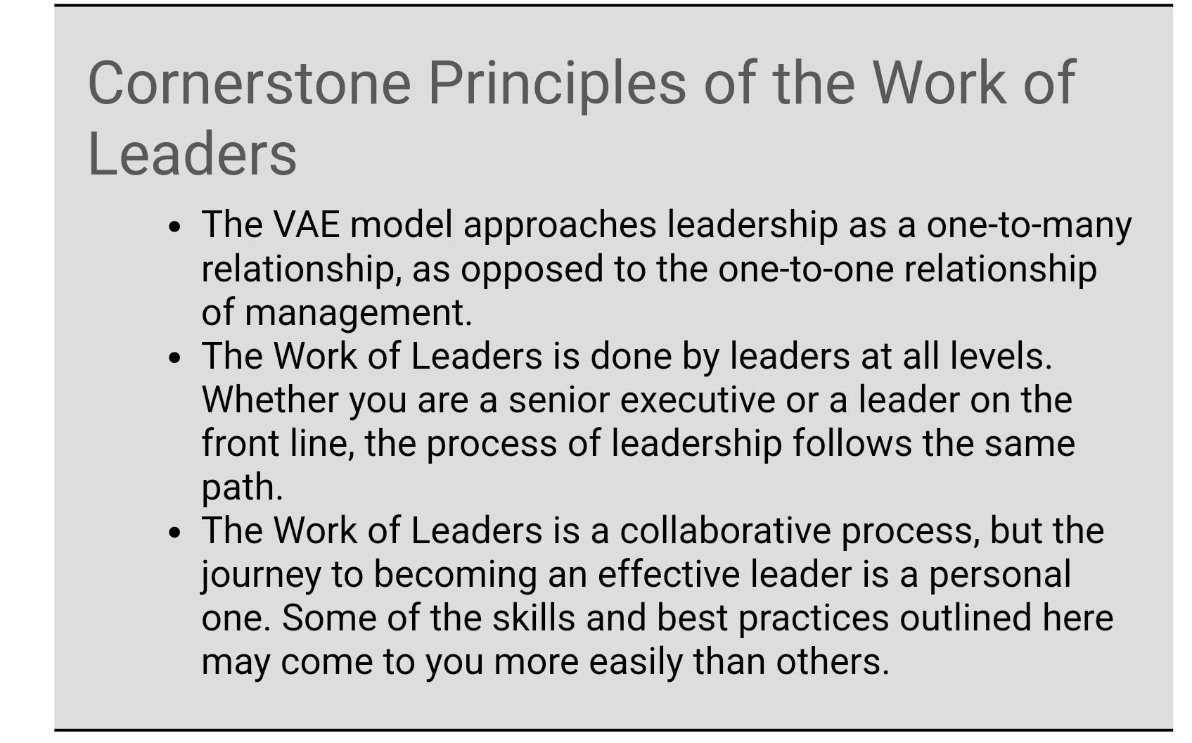 can help leaders in the work place? The VAE Model In our