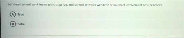 Self-development work teams plan, organize, and