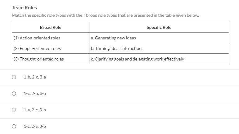 Team Roles Match the specific role types with
