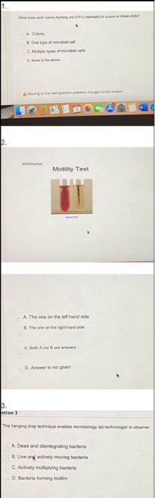 I need help answering these questions, please! 1.