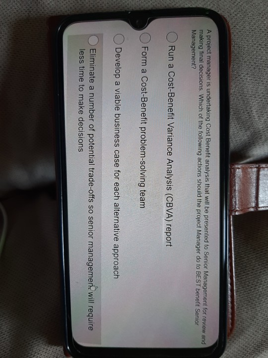 A project manager is undertaking Cost Benefit