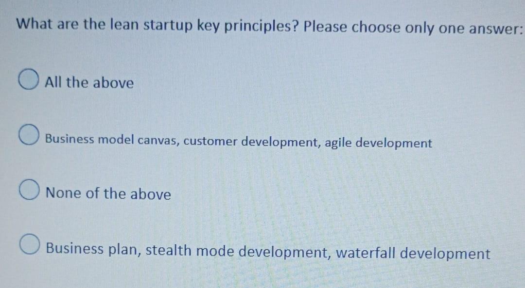 What are the lean startup key principles? Please