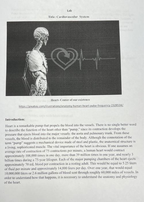 Lab Title: Cardiovascular System 24 Heart- Center