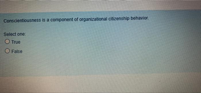 q.10 reply as soon as possible Conscientiousness