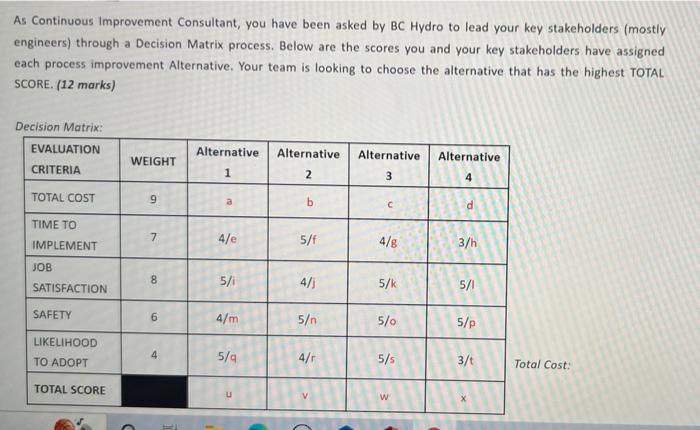 As Continuous Improvement Consultant, you have