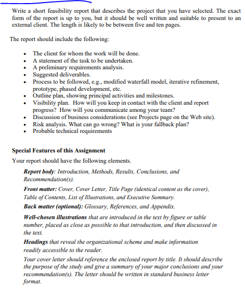 Write a short feasibility report that describes