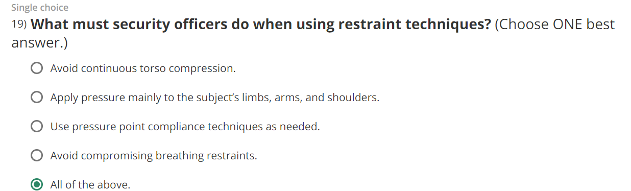 19) What must security officers do when using