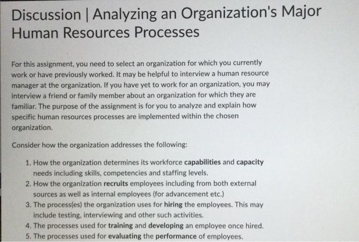 Discussion | Analyzing an Organization's Major
