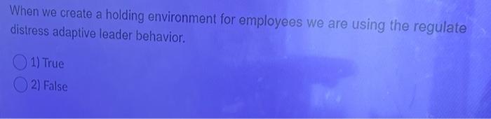 Who solves challenges that are both technical and